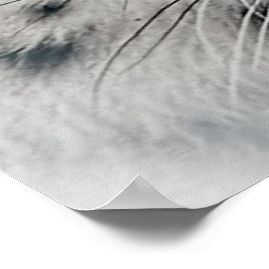 Exotische Weißschneeleopard Poster (Ecke)