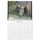 Exotische Wunder 2009 Kalender (Mär 2027)