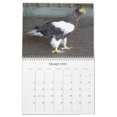 Exotische Wunder 2009 Kalender (Jan 2026)