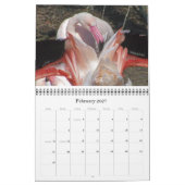 Exotische Wunder 2012 Kalender (Feb 2027)