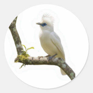 Exotischer Bali-Star-Vogel Kulturelles Erbe Aufkle Runder Aufkleber