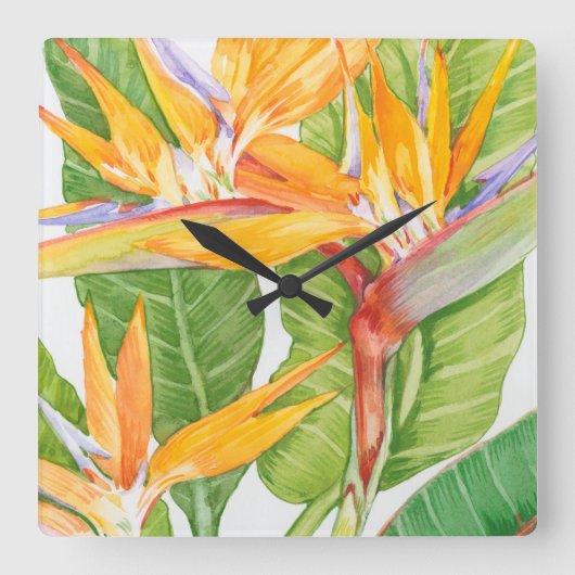 Exotischer BlumenWatercolor Quadratische Wanduhr (Vorderseite)