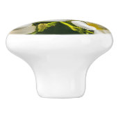 Exotischer Inselplumeria-Griff Keramikknauf (Seitenansicht)