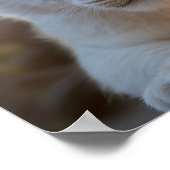 Exotischer Kuhkrüppel für Baby Poster (Ecke)