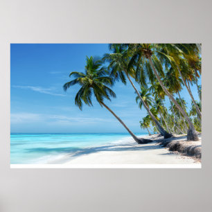 Exotischer Palm Beach Türkiswasser Sonniges Paradi Poster