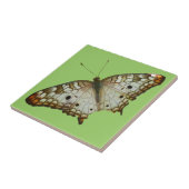 Exotischer Schmetterling aus St. Lucia Fliese (Seite)