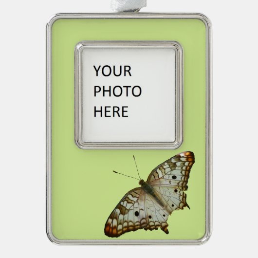 Exotischer Schmetterling aus St. Lucia Rahmen-Ornament Silber (Vorderseite)