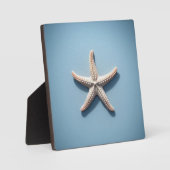 Exotischer Seestern mit blauem Hintergrund Fotoplatte (Vorderseite)