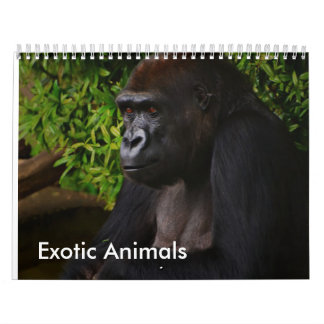 Exotischer Tierkalender Kalender