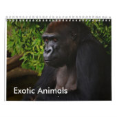 Exotischer Tierkalender Kalender (Titelbild)