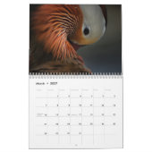 Exotischer Tierkalender Kalender (Mär 2027)