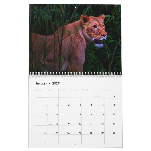 Exotischer Tierkalender Kalender (Jan 2027)