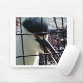 Exotischer Vogel im Zoobild Mousepad (Mit Mouse)