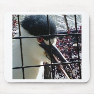 Exotischer Vogel im Zoobild Mousepad