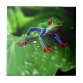 Exotisches buntes Frosch-Blatt Fliese (Vorderseite)