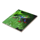 Exotisches buntes Frosch-Blatt Fliese (Seite)