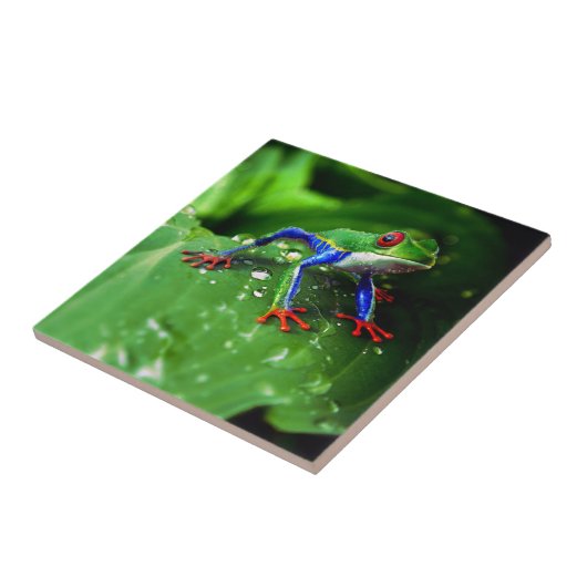 Exotisches buntes Frosch-Blatt Fliese (Seite)