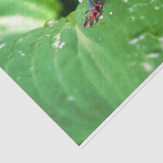 Exotisches buntes Frosch-Blatt Seidenpapier (Ausschnitt)