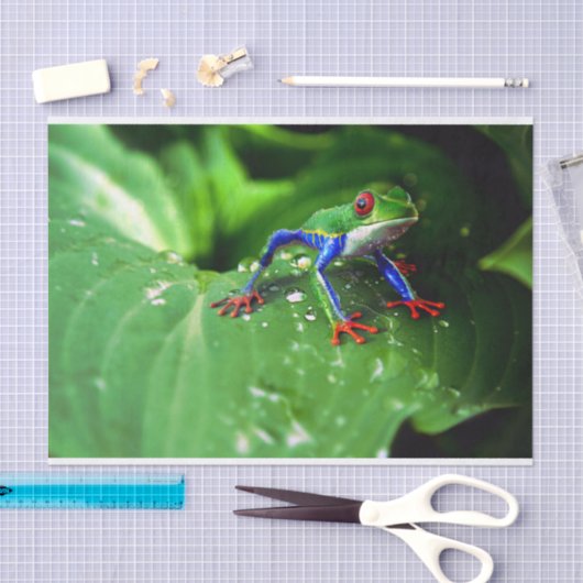 Exotisches buntes Frosch-Blatt Seidenpapier (Handwerk)