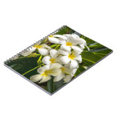 Exotisches Inselplumeria-Notizbuch Notizblock (Linke Seite)
