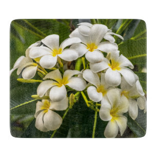Exotisches Inselplumeria-Schneidebrett Schneidebrett