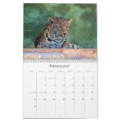 EXOTISCHES KATZENARTIGES ZÜCHTENDES MITTEL KALENDER (Feb 2027)