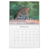 EXOTISCHES KATZENARTIGES ZÜCHTENDES MITTEL KALENDER (Feb 2026)