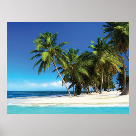 Exotisches Kissen Poster (Vorne)