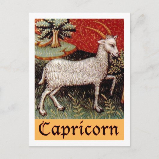 Exotisches Steinbock-Sternzeichen Postkarte (Vorderseite)