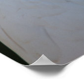 Exotisches Weißes Kakadu Poster (Ecke)