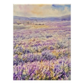 Expansive Lavender Field  Fotodruck (Vorne)