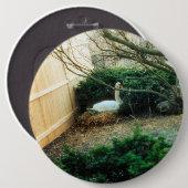 Expectant Mutter Button (Vorne & Hinten)