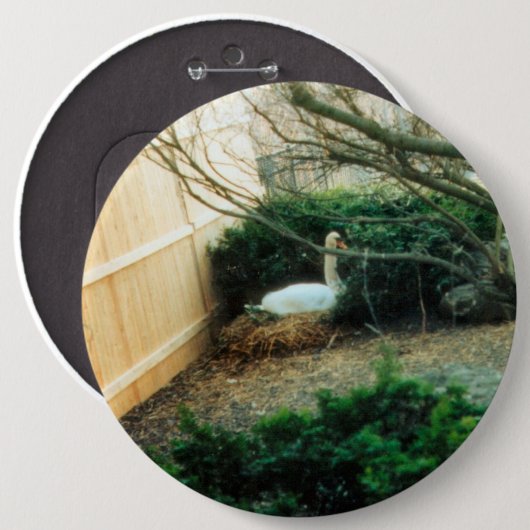 Expectant Mutter Button (Vorne & Hinten)