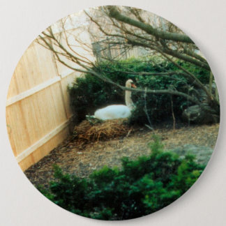 Expectant Mutter Button