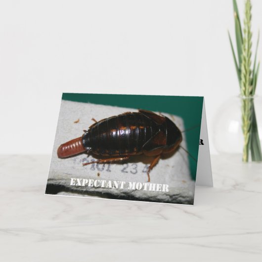 Expectant Mutter Dubia roach mit Eizelle Karte (Vorderseite)