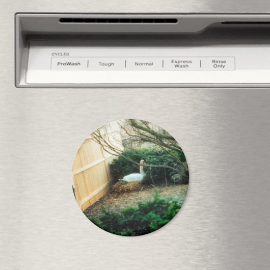 Expectant Mutter Magnet (In Situ (Geschirrspüler))