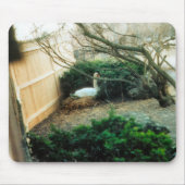 Expectant Mutter Mousepad (Vorne)