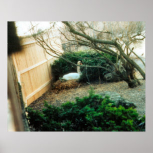 Expectant Mutter Poster