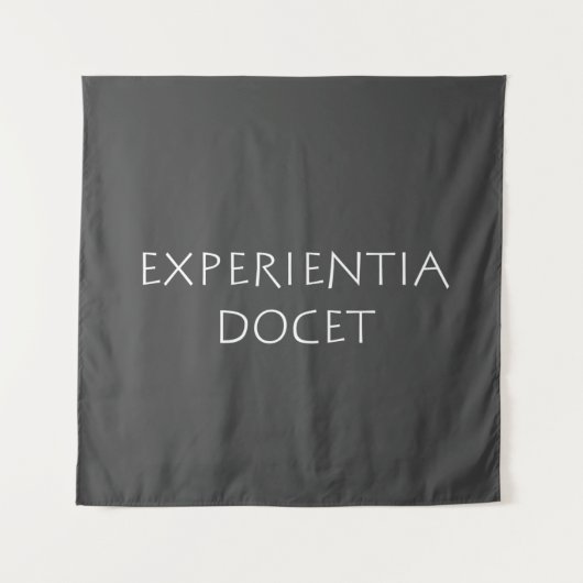 Experientia Docet Wandteppich (Vorderseite)