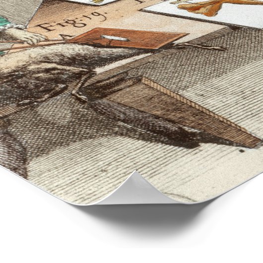 Experiment an Fröschen Poster (Ecke)