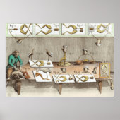 Experiment an Fröschen Poster (Vorne)