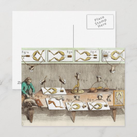 Experiment an Fröschen Postkarte (Vorne/Hinten)