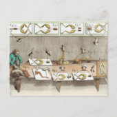 Experiment an Fröschen Postkarte (Vorderseite)