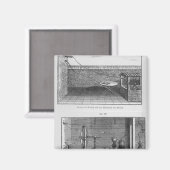 Experiment an Fröschen von Louis Galvani Magnet (Vorderseite/Rückseite)