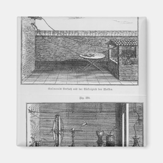 Experiment an Fröschen von Louis Galvani Magnet (Vorne)