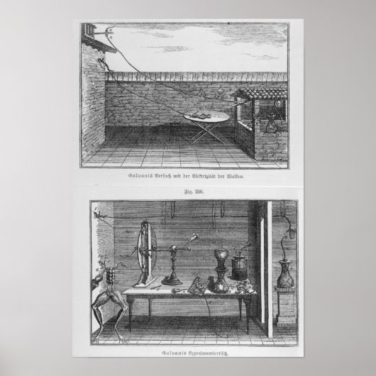 Experiment an Fröschen von Louis Galvani Poster (Vorne)