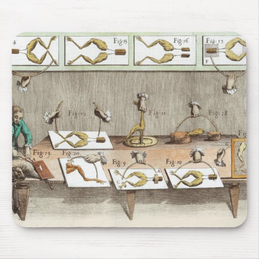 Experiment auf Fröschen Mousepad (Vorne)