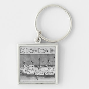 Experiment auf Fröschen Schlüsselanhänger