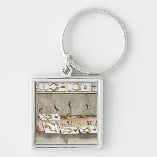 Experiment auf Fröschen Schlüsselanhänger (Vorne)