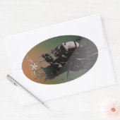 EXPERIMENT OVALER AUFKLEBER (Umschlag)